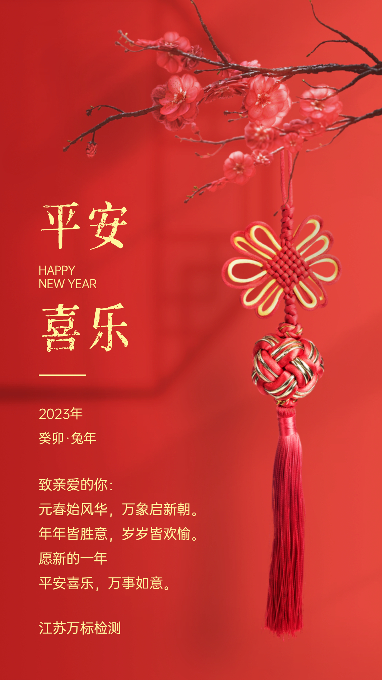 喜庆新年春节实景复古中国结祝福贺卡海报 (1).jpg